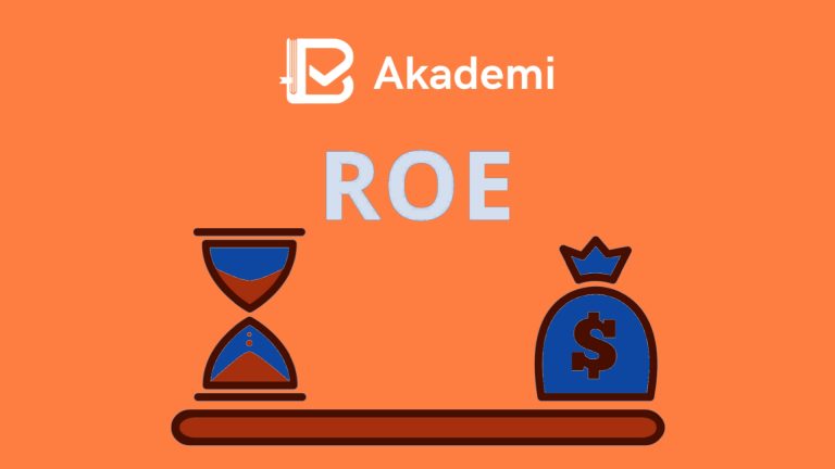 apa itu ROE